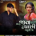 Mara Jiv Tu Pachi Aavi Ja Ne