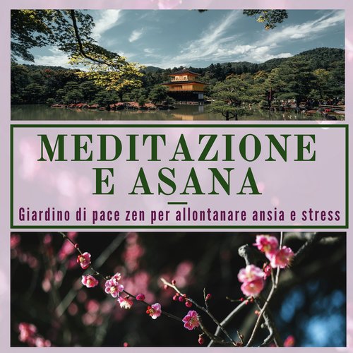 Raccontami dello yoga cover art