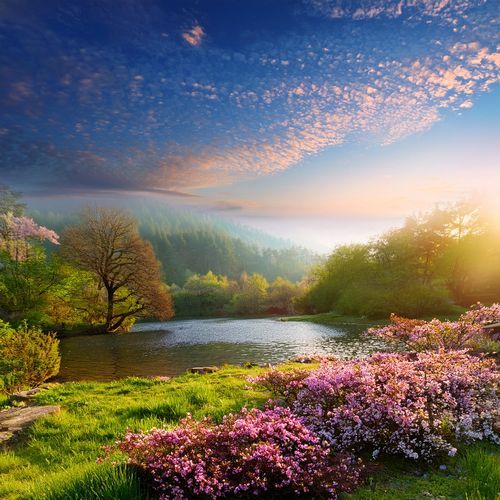 Music For Moments Between Everything