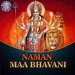 Bhavani Ashtakam