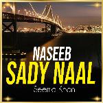 Naseeb Sady Naal