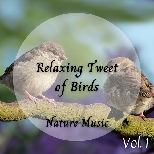 Nature Music: Relaxing Tweet of Birds Vol. 1_poster_image