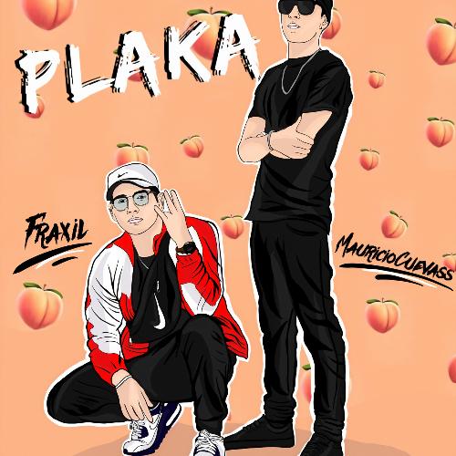 Plaka cover art