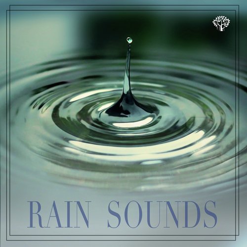 Rain Sounds