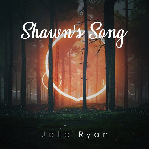 Shawn&#039;s Song_poster_image