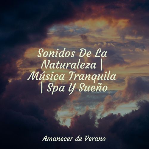 Pereza en el Viaje por Carretera cover art