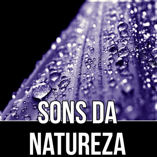 Sons da Natureza cover art