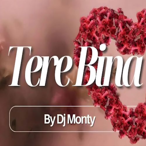 TERE BINA