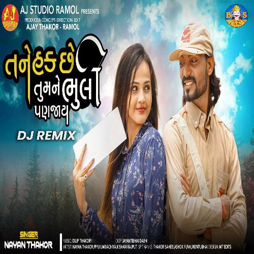 Tane Hak Che Tu Mane Bhuli Pan Jay (DJ Remix)