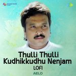 Thulli Thulli Kudhikkudhu Nenjam - Lofi artwork