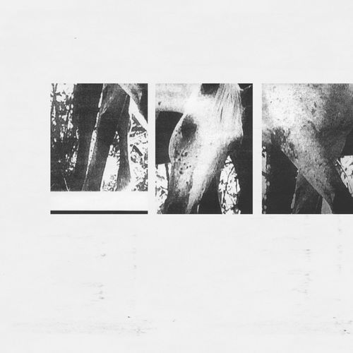 Veneer of Tolerance Remixes (EP Remixes)