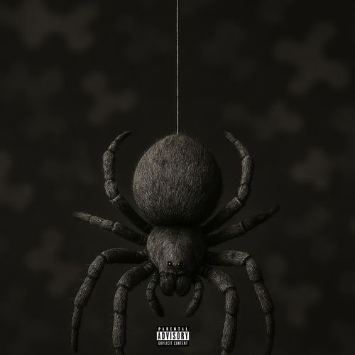 Webb Not Normal cover art