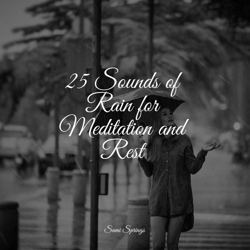 25 Sounds of Rain for Meditation and Rest
