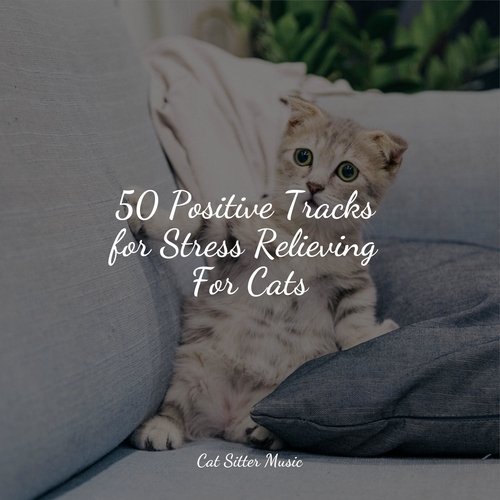 50 Positive Tracks for Stress Relieving For Cats