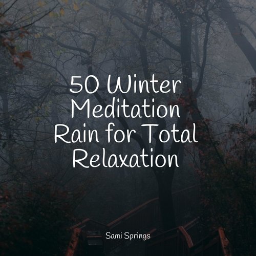 50 Sleep Winter Rain Tracks