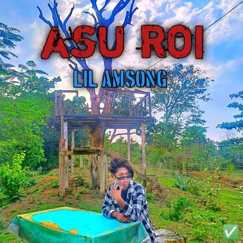 ASU ROI