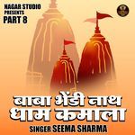 Baba Bhendinath Dham Kamala Part 8
