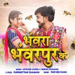 Bhanwara Bhanwarpur Ke