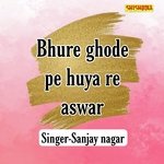 Bhure Ghode Pe Huya Re Aswar