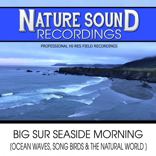 Big Sur Seaside Morning (Ocean Waves, Song Birds & The Natural World)_poster_image