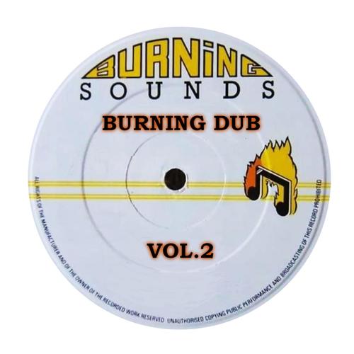 Burning Sounds Burning Dub, Vol. 2