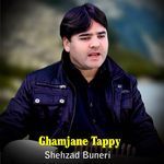 Ghamjane Tappy