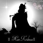 Shri Krishnaa Mantra_poster_image