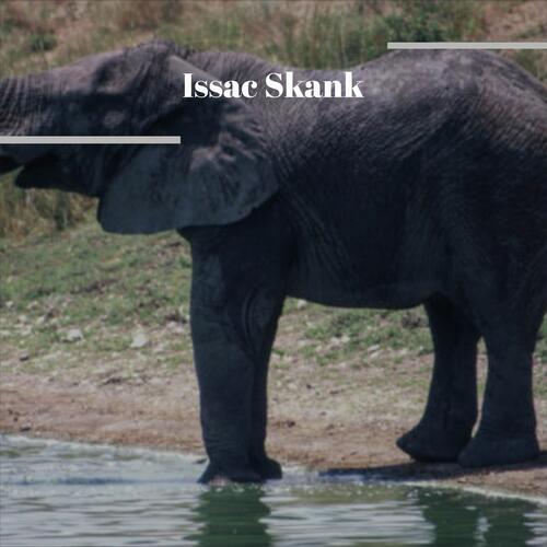 Beatific cover art