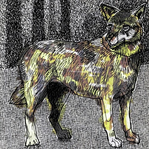 Imran (feat. lydes) cover art