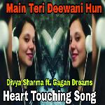 Main Teri Deewani Hun