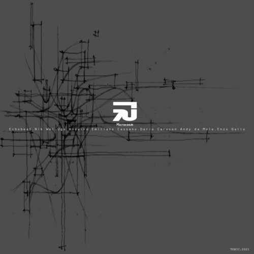 Microcosm (Emiliano Cassano Remix) cover art