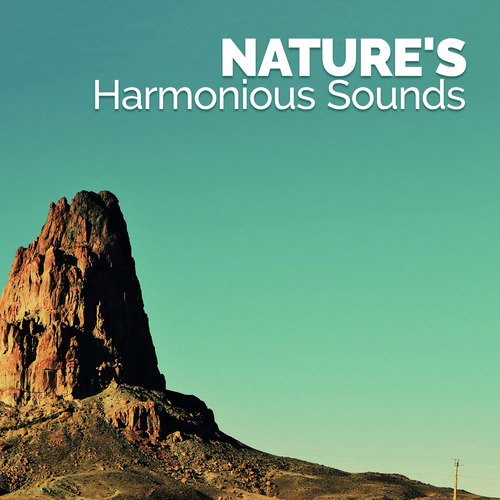 Nature's Harmonious Sounds