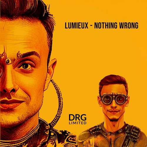 Nothing Wrong (Dragutesku Remix) cover art