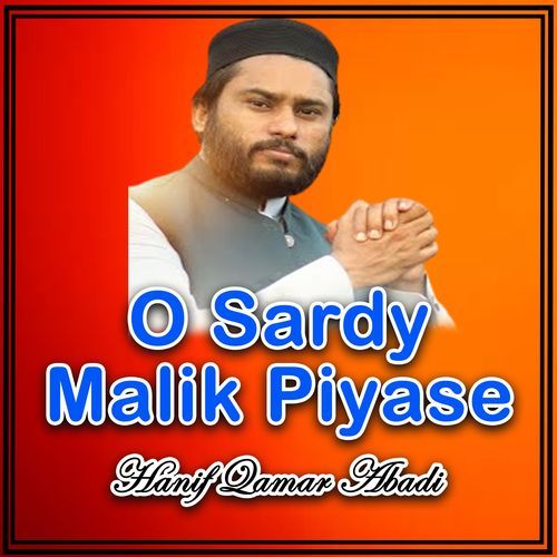 O Sardy Malik Piyase