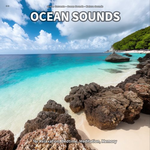 * * Ocean Sounds for Relaxation, Bedtime, Meditation, Memory_poster_image