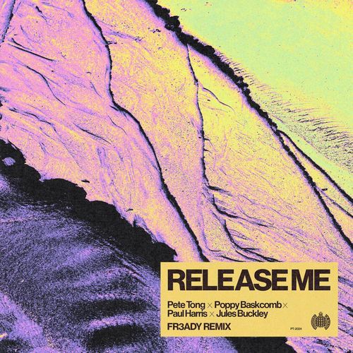 Release Me (FR3ADY Remix)_poster_image