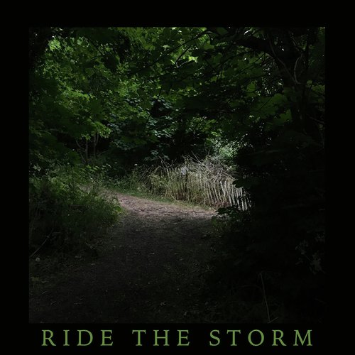 Ride The Storm_poster_image