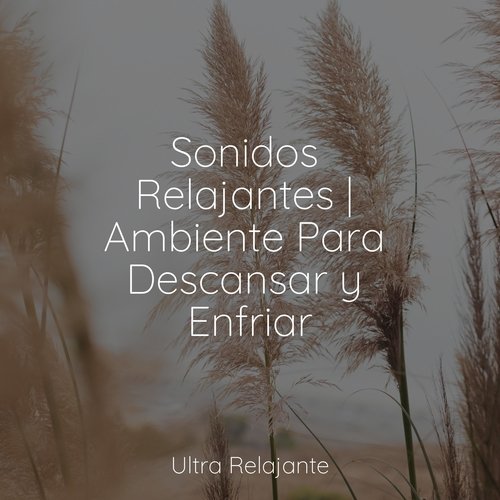 Filosofía
