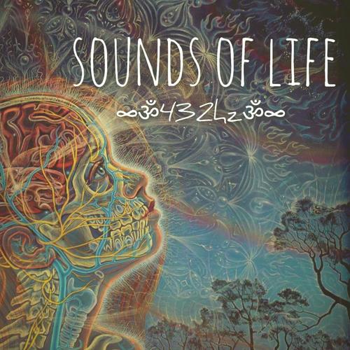 Sounds of Life - 432hz (Album Mix)