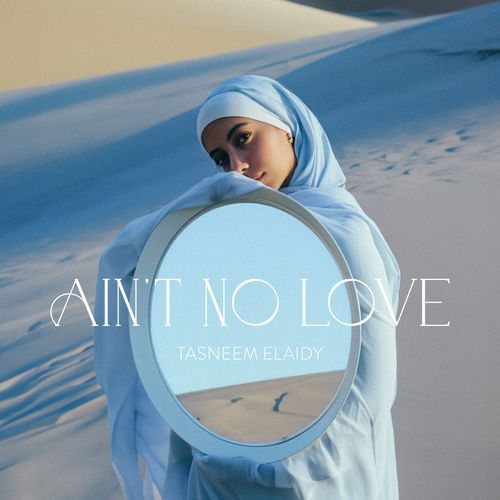 This Ain't No Love_poster_image