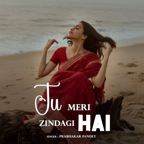 Tu Meri Zindagi Hai