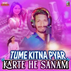Tume Kitna Pyar Karte He Sanam