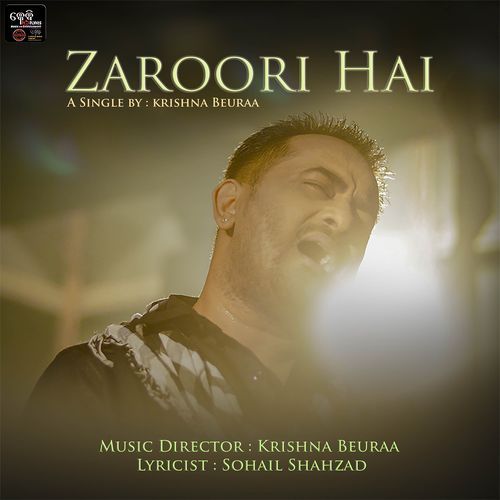 Zaroori Hai