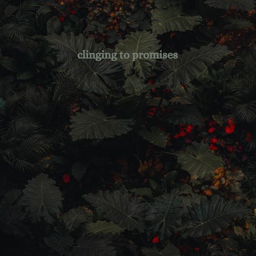 clinging to promises