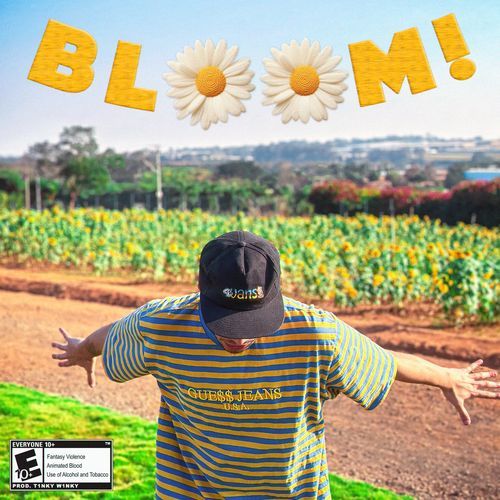 BLOOM!_poster_image