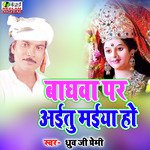 Baghwa Par Aitu Maiya Ho