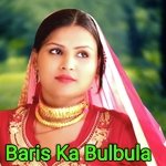 Baris Ka Bulbula