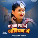 Bhatar Khoje Galiyan Men