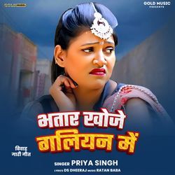 Bhatar Khoje Galiyan Men