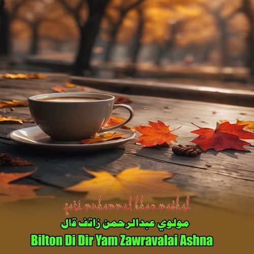 Bilton Di Dir Yam Zawravalai Ashna